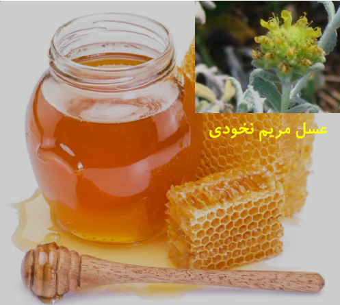 قیمت عسل طبیعی مریم نخودی + فروش عمده